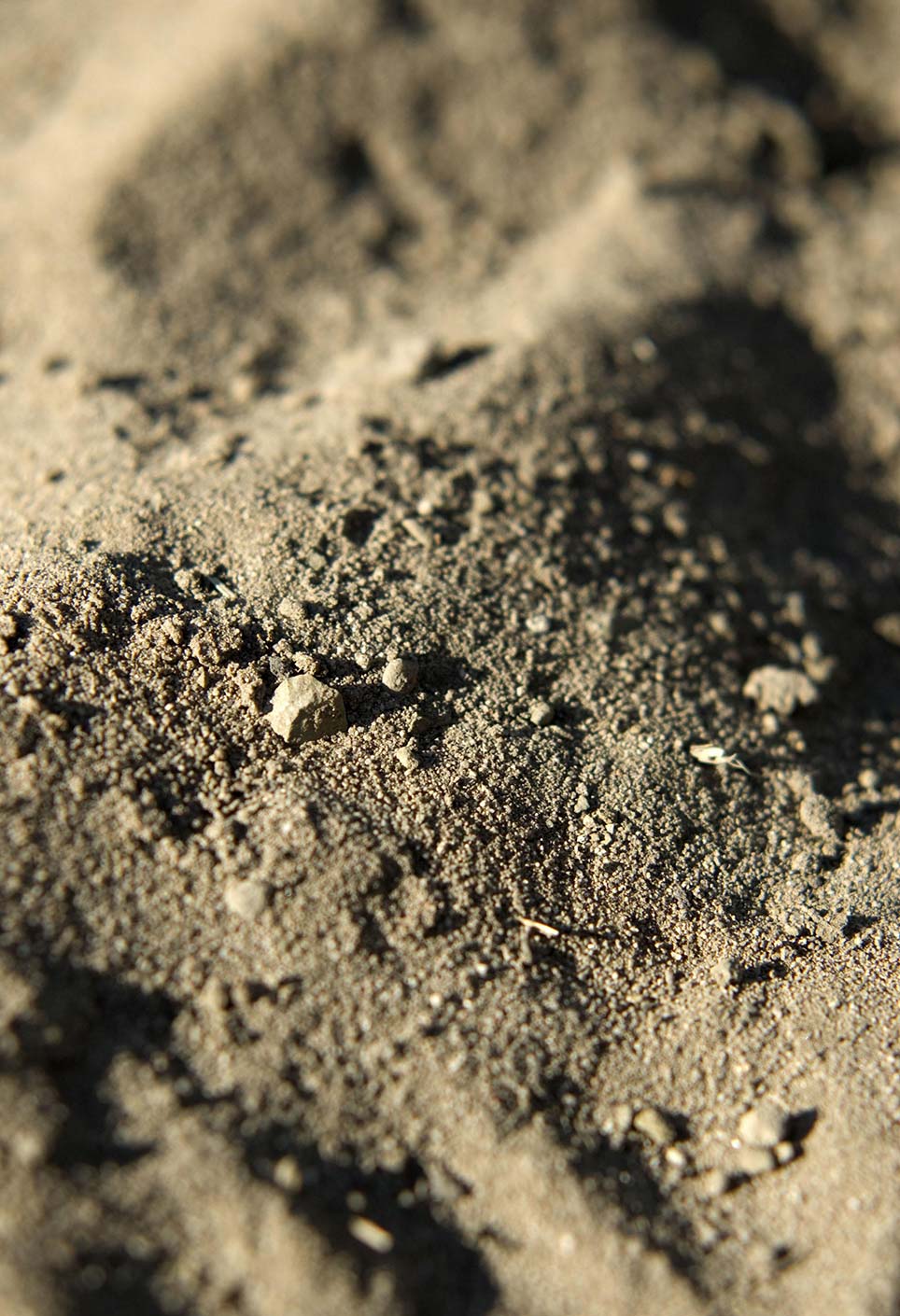 Careaga Sand
